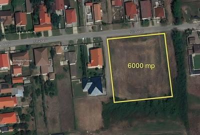 Teren Construcții intravilan de 6000 mp, în Săcălaz - 1