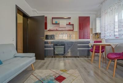 Apartament modern cu o camera, complet mobilat si utilat - 4