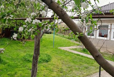 Casa vanzare Caracal 90m2 + teren 2110m2 Casa vanzare Caracal 90m2 + teren 2110m2 - 3