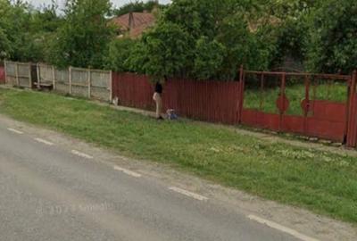 Teren Construcții intravilan de 1587 mp, în Bărăganul - 1
