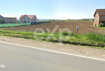 Spațiu comercial, în Petricica - 1