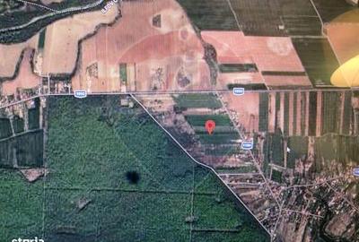 Teren de 704 mp, în Ciolpani - 5