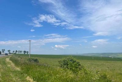 Teren agricol de 18100 mp, în Tureni - 3