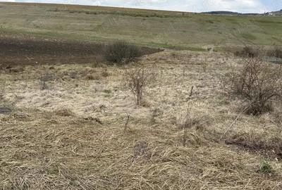 Teren intravilan in Salicea!-zona de case noi - 1