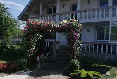 Casă cu 6 camere cu Teren 937 Mp în Mogoșești - 10