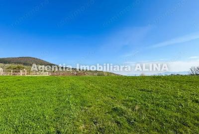 Teren de 7257 mp, în Vulcan - 5