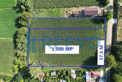 Teren de 3500 mp, în Bogdănești - 11