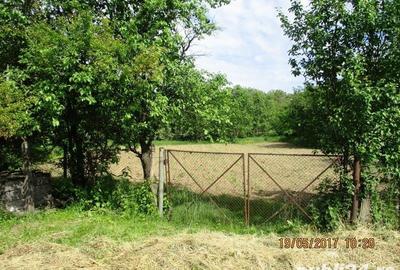Teren de 1270 mp, în Drajna - 3