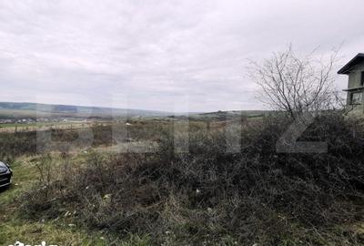 Teren de 1000 mp, în Șimnicu de Sus - 3