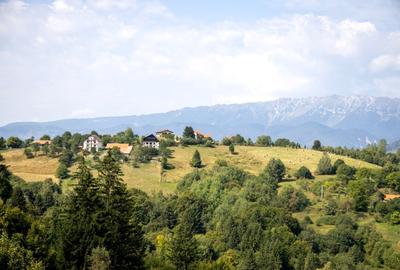 Investitie turistica unica - Bran Sohodol 10131mp-pe traseul Via Transilvanica - 16