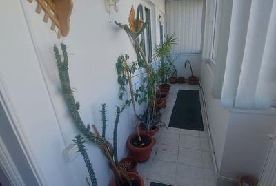 Apartament cu 3 camere în Central - 3
