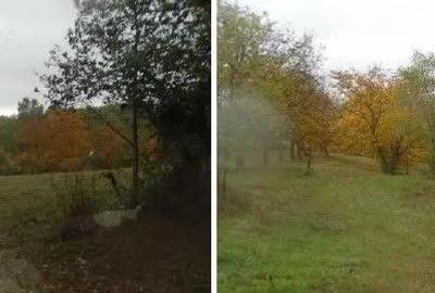 Teren faneata Vizantea Livezi; ID: R2800475 - 3