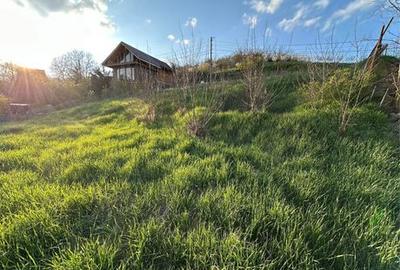 Spațiu comercial, în Cuștelnic - 3