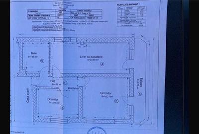 Apartament cu 3 camere decomandat în Beba Veche - 4