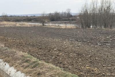 Teren agricol extravilan de 3618 mp, în Periferie - 4