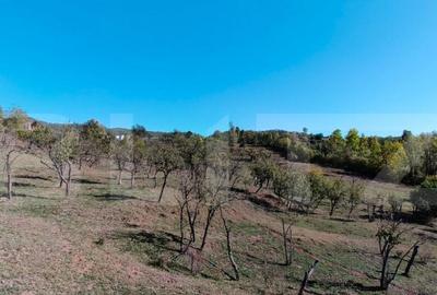 Teren extravilan cu priveli?te superba , livada ?i poten? - 25