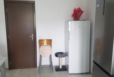 Apartament cu 4 camere semidecomandat în Calea Moldovei - 4