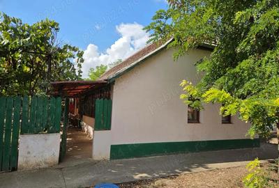 Casă cu 2 camere în Tomnatic - 5