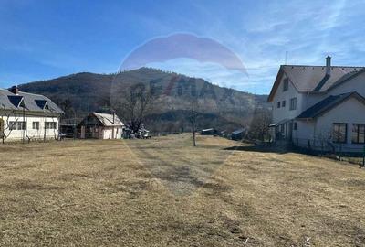 Teren de 3606 mp, în Pângărați - 5