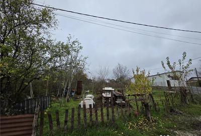 Teren de 16000 mp, în Brănești - 3