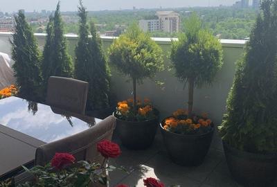 Apartament cu 2 camere decomandat în Herăstrău - 1