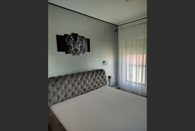 Vilă modernă P+M - Preajba Nouă, Târgu Jiu - 19