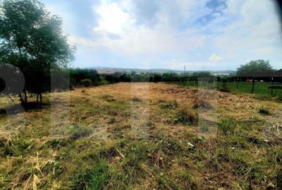 Reducere de pret!Teren intravilan, suprafata de 2506 mp, inc - 3