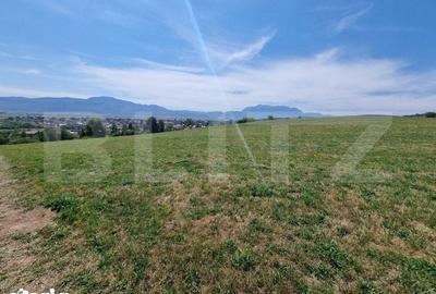Teren de 2800 mp, în Vulcan