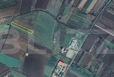 Teren de 5939 mp, în Central