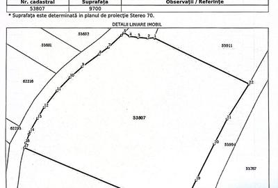 Teren de 9700 mp, în Borșa - 6