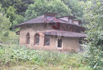 Casă cu 6 camere cu Teren 2700 Mp în Bradu - 15
