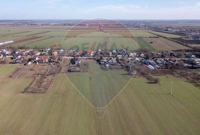 Vanzare teren intravilan 1056 mp si extravilan 8828mp Racari-DB - 13