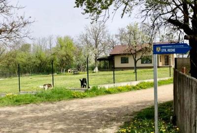 Teren de 3700 mp, în Bârsești (Budești) - 3