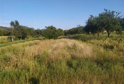Teren de 2000 mp, în Brănișca - 7