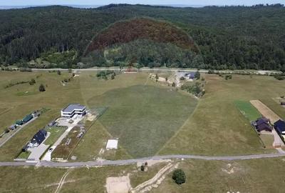 Teren de 3322 mp, în Paltin - 6