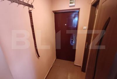 Apartament de inchiriat, cu 2 camere, zona Decebal - 7