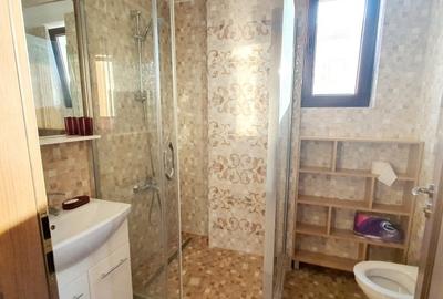 Apartament cu 2 camere decomandat, mobilat în Energia - 19