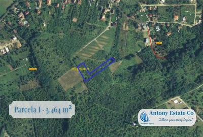 Teren de 3774 mp, în Oncea - 6