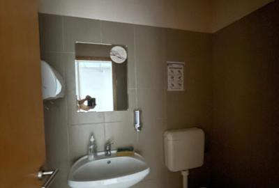 Spa?iu comercial ultracentral de inchiriat 165 mp, Bd. - 28