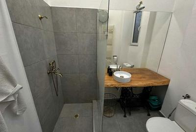 Apartament cu 2 camere semidecomandat în Ultracentral - 8