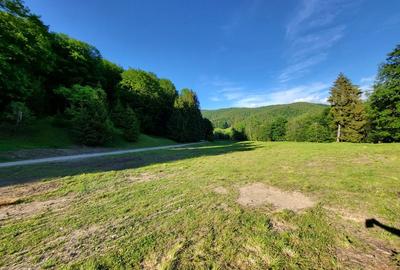 Teren de 12.000 mp la Vama Buzăului - Locație de Vis cu PUZ Aprobat - 1