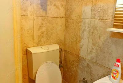 Garsonieră nedecomandată în Aradului - 4