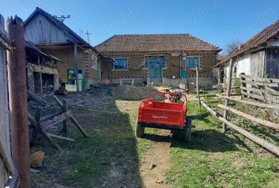 Casă cu 2 camere cu Teren 17240 Mp în Saca - 1