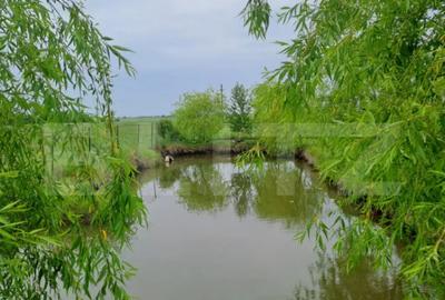 Casă cu 5 camere cu Teren 5585 Mp în Central - 12