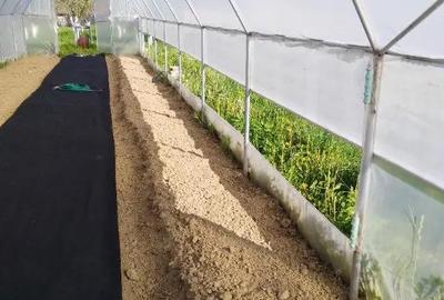 Casă cu 5 camere cu Teren 1800 Mp în Central - 2