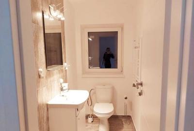 Apartament 3 camere (P+1) langa Parcul Carol si Parcul Tineretului - 3