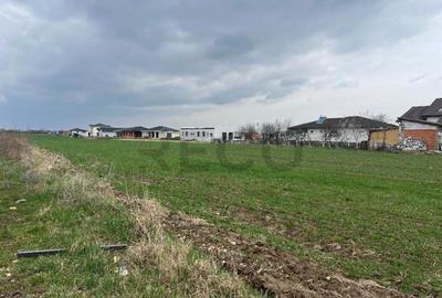 Teren de 14130 mp, în Sânmartin - 3