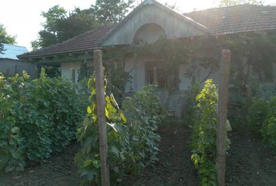Vand casa Rebricea Jud Vaslui - 3