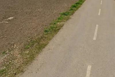 Teren de 2000 mp, în Bălanu - 1