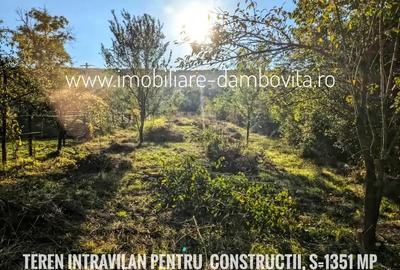 Teren de 2698 mp, în Gura Ocniței - 5
